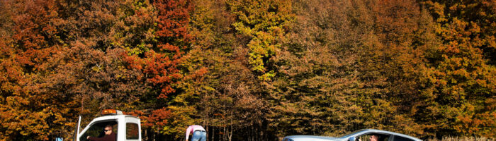 Auto,Towing